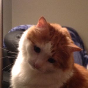 Meet your Posher, Joanne